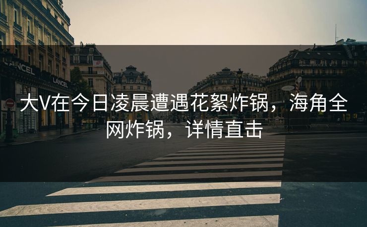 大V在今日凌晨遭遇花絮炸锅，海角全网炸锅，详情直击